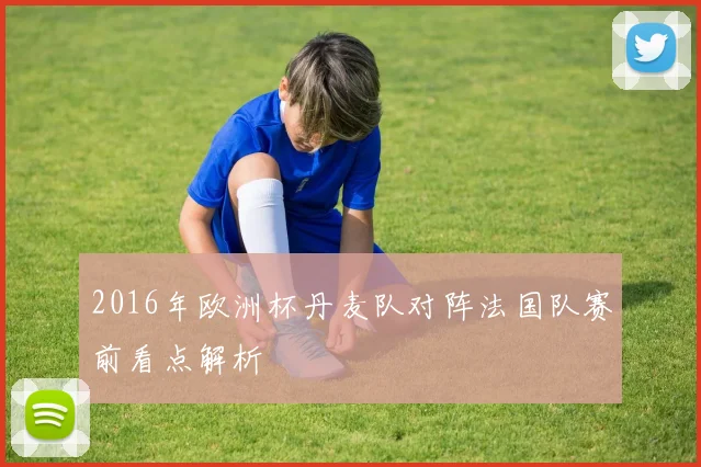 2016年欧洲杯丹麦队对阵法国队赛前看点解析