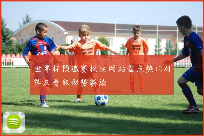 世界杯预选赛投注网站盘点热门对阵及晋级形势解读