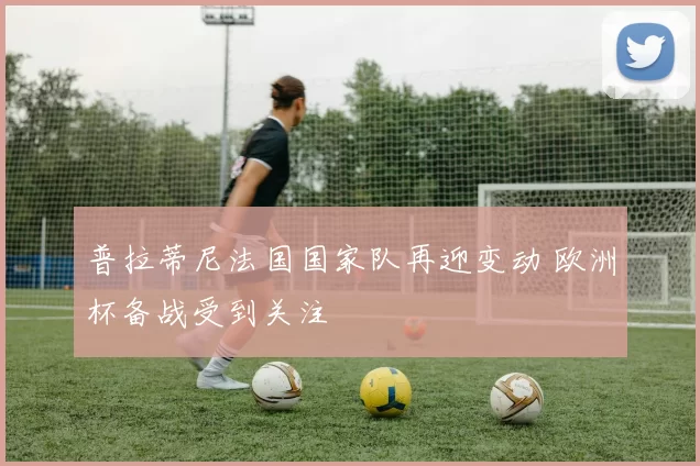 普拉蒂尼法国国家队再迎变动 欧洲杯备战受到关注