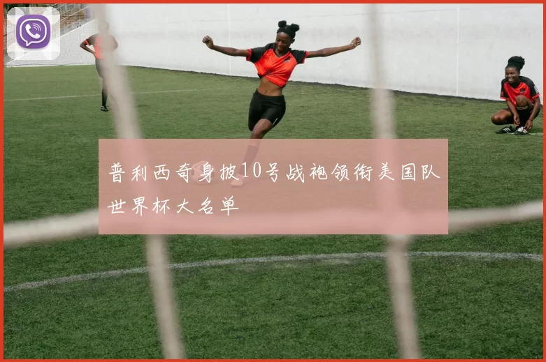 普利西奇身披10号战袍领衔美国队世界杯大名单