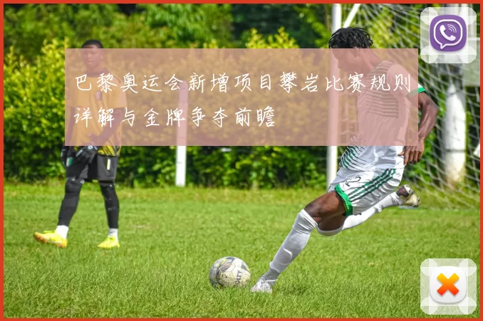 巴黎奥运会新增项目攀岩比赛规则详解与金牌争夺前瞻
