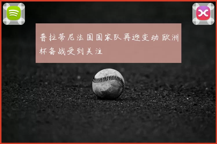 普拉蒂尼法国国家队再迎变动 欧洲杯备战受到关注